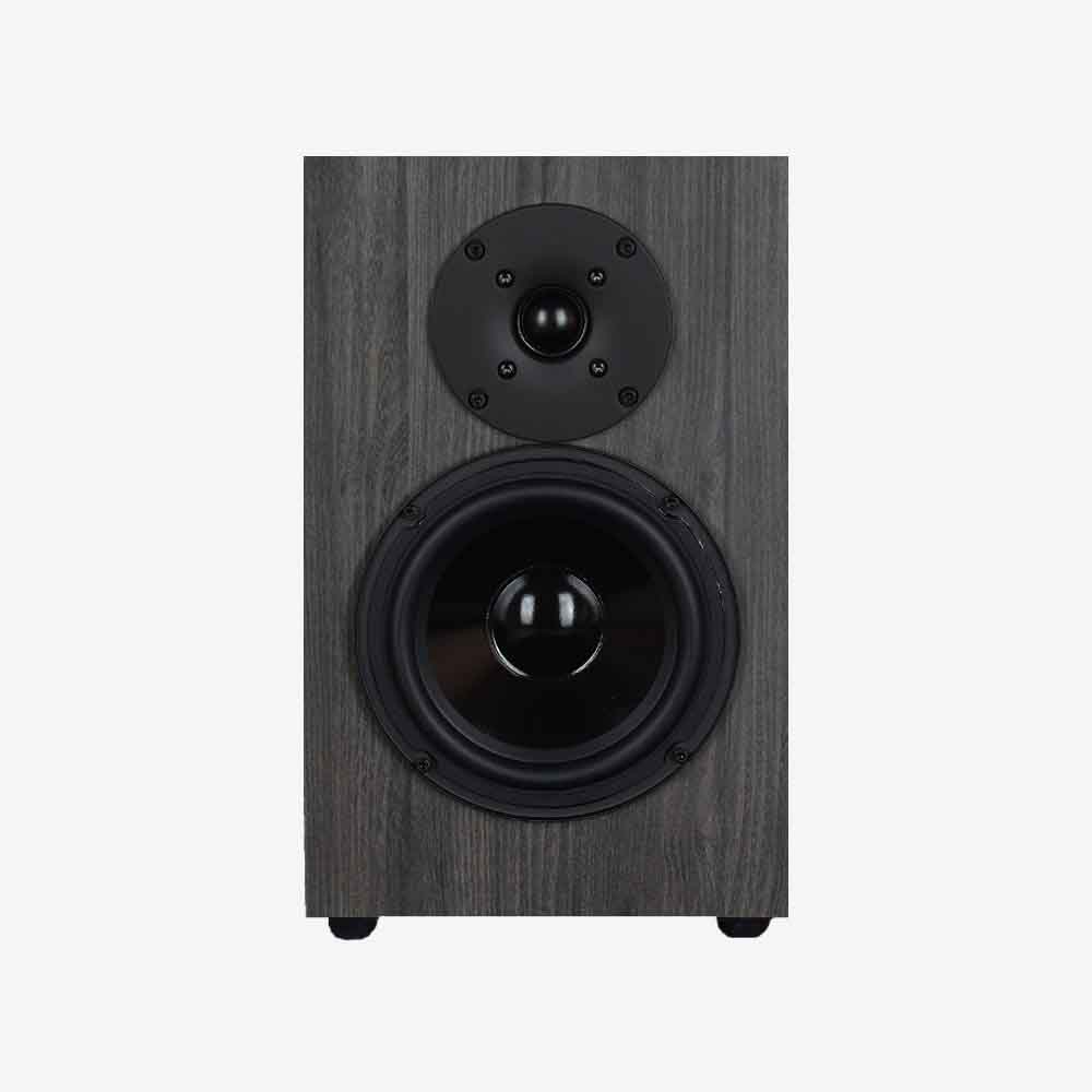 Universal Alaap 2-Way Surround Speaker - INDIQAUDIO