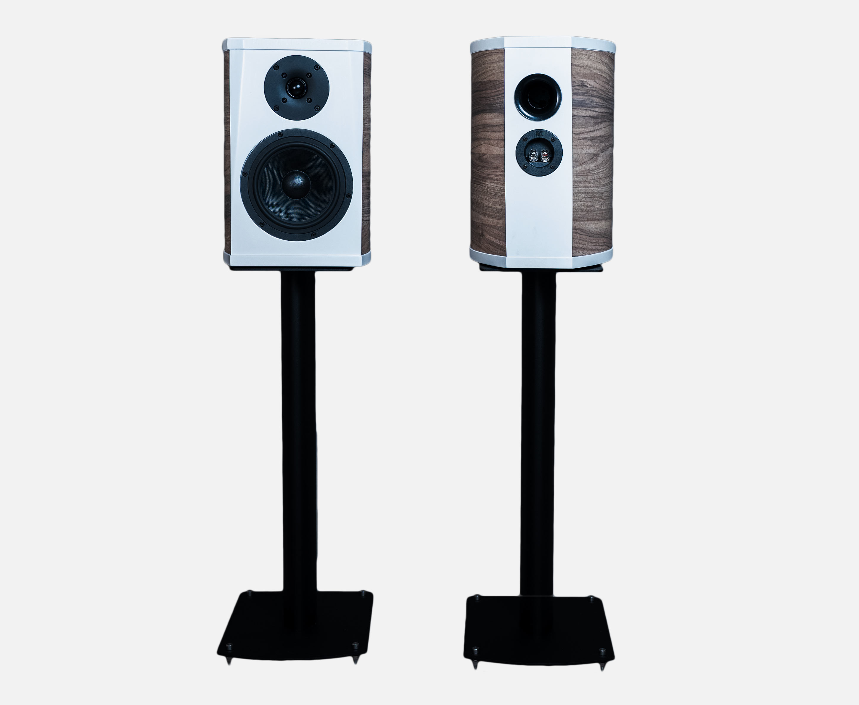 Signature Mishra 2.0 2.0 2.0 2-Way Bookshelf Speakers India - INDIQAUDIO